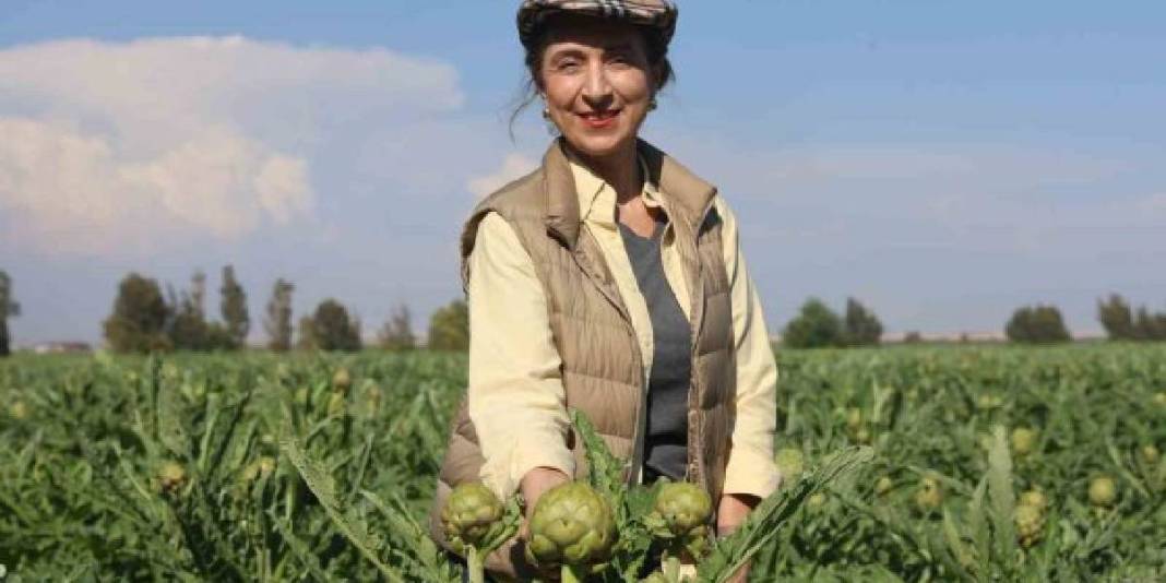 7 yıl ürün almak için çabaladı! 120 dönümde ilk hasat heyecanı yaşıyor 5